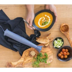 AlessiStabmixer-Set 4-tlg. Plissé grau