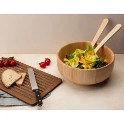 ContinentaSchüssel 26 cm Gummibaum