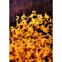 MicroplaneReibe fein 31 cm Gourmet schwarz