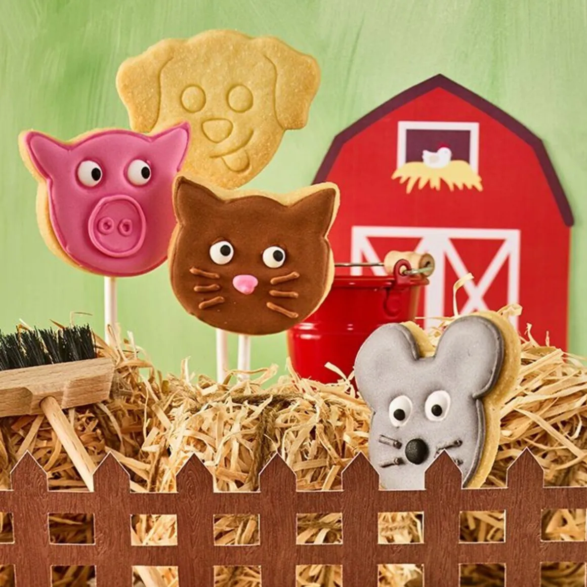 RBV BirkmannAusstecher Schweineschnute 6 cm Edelstahl mit Innenprägung