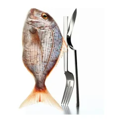 Robbe & BerkingFischmesser Sphinx 150g versilbert