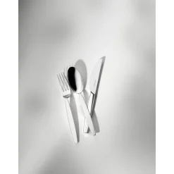 Robbe & BerkingMenübesteck 4tlg. 12 Zoll 150 g versilbert