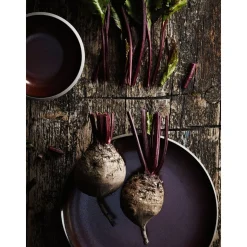 RosenthalTeller flach 27 cm Junto Bronze