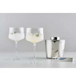 Zone DenmarkCopa/Gin Tonic Glas 2er-Set Rocks klar