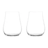 Zwiesel GlasAllround Tumbler 2er-Set Kolibri Kristall mit Moussierpunkt