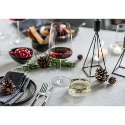 Zwiesel GlasAllroundglas 2er-Set Simplify